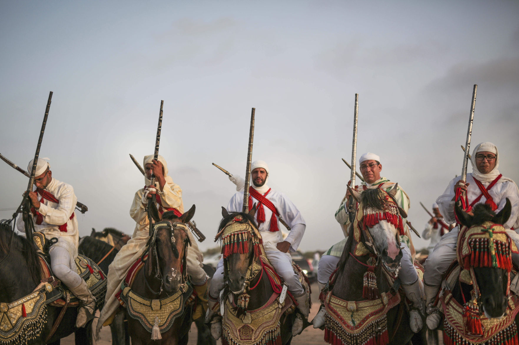 Morocco equine tradition